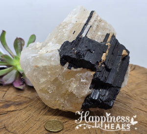 Tourmaline on Quartz – Protection Meets Power