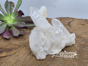 Clear Quartz Cluster – Amplify, Cleanse & Illuminate ✨