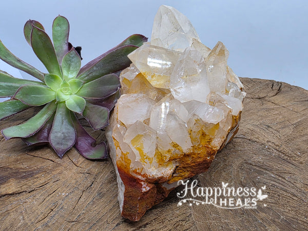 Clear Quartz Cluster – Amplify, Cleanse & Illuminate ✨