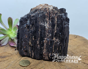 Black Tourmaline with Mica – Shielding Strength & Reflective Light 🖤✨