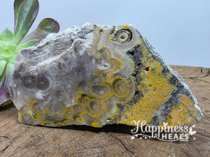 Colgante de jaspe de abejorro