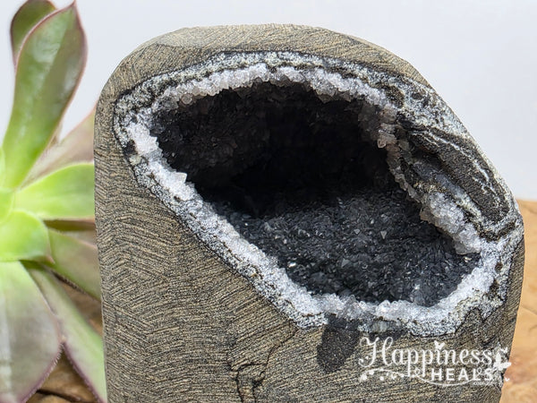 Collector’s Black Chalcedony Geode