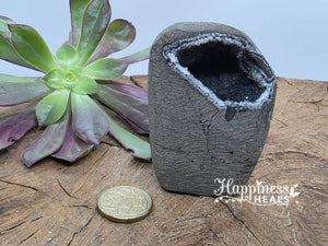 Collector’s Black Chalcedony Geode