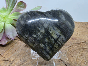 Serpentine Heart