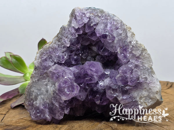 Amethyst Geode Cluster