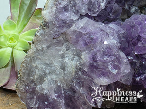 Amethyst Geode Cluster