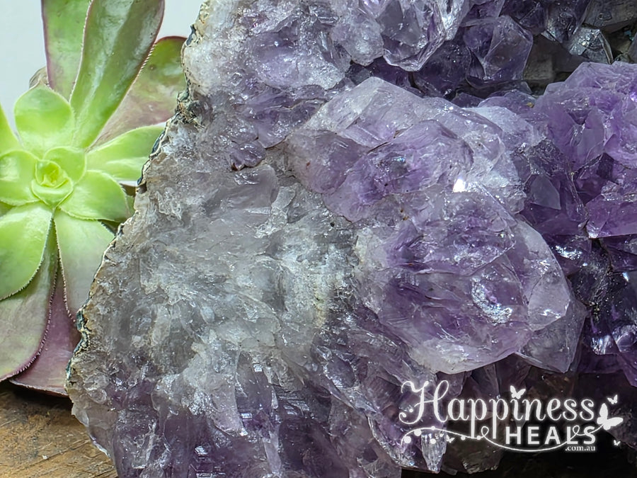 Amethyst Geode Cluster