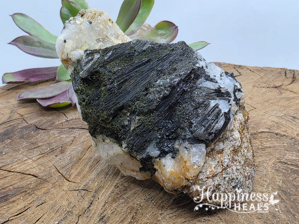 Black Tourmaline in Quartz (Raw)