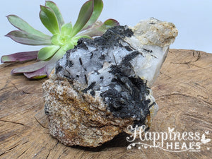 Black Tourmaline in Quartz (Raw)