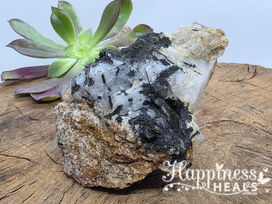 Black Tourmaline in Quartz (Raw)