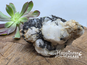 Black Tourmaline in Quartz (Raw)