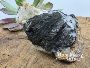 Black Tourmaline in Quartz (Raw)
