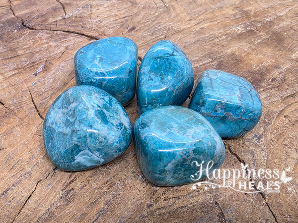 Blue Turquoise Howlite