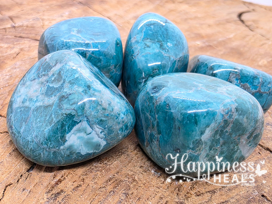 Blue Turquoise Howlite