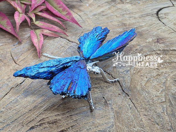 Titanium Aura Black Kyanite Dragonfly