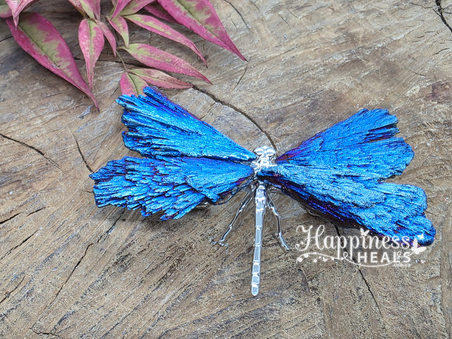 Titanium Aura Black Kyanite Dragonfly