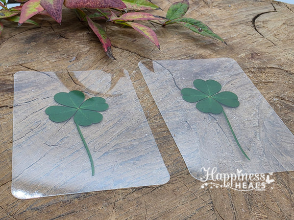 Four Leaf Clover Transparent Card