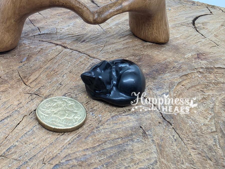 Black Obsidian Sleeping Cat