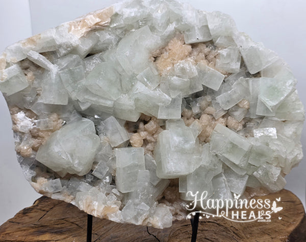 Apophyllite Cluster – XL High Vibration Display Piece