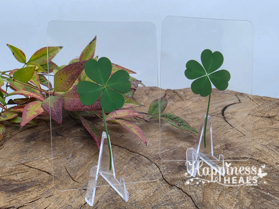 Four Leaf Clover Transparent Card