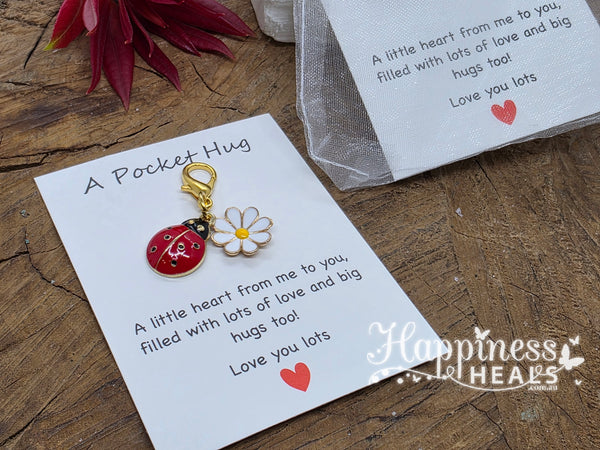 A Little Hug - Ladybug