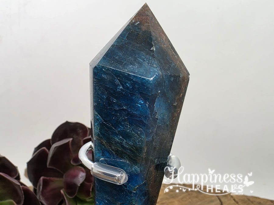 Apatite Vogel – Clarity, Communication & Focused Energy 🔷💎