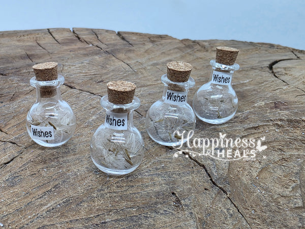 Wish Jars