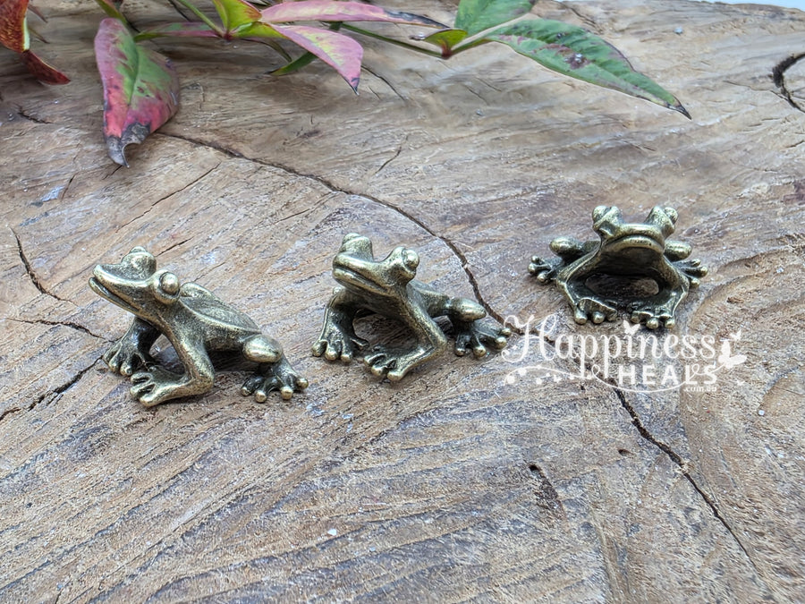Brass Frog