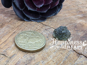 Moldavite Piece (Raw)