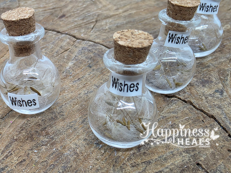 Wish Jars