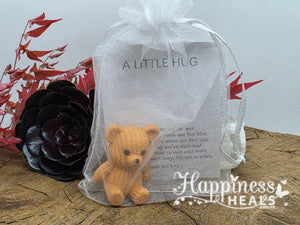 A Little Pocket Hug - Bear