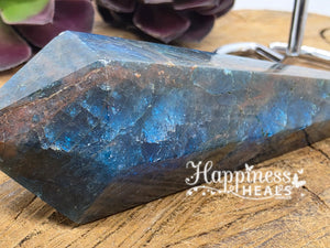 Apatite Vogel – Clarity, Communication & Focused Energy 🔷💎
