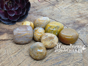 Yellow Jasper (Tumbled)