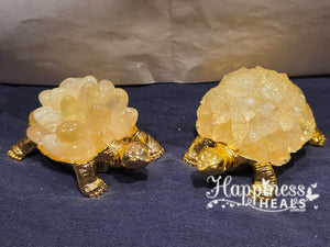 Turtle Citrine Cluster