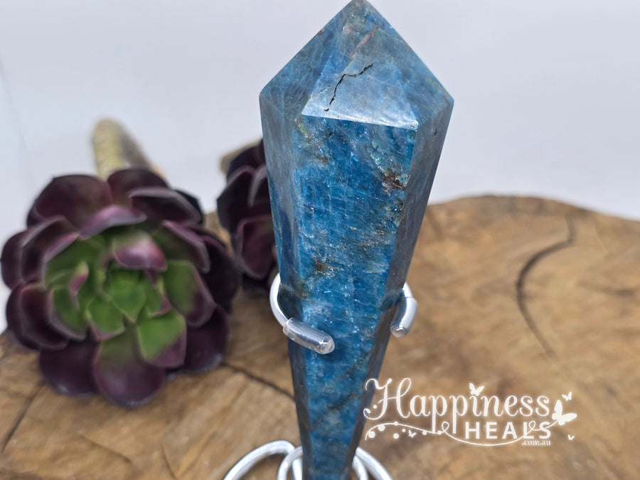 Apatite Vogel – Clarity, Communication & Focused Energy 🔷💎
