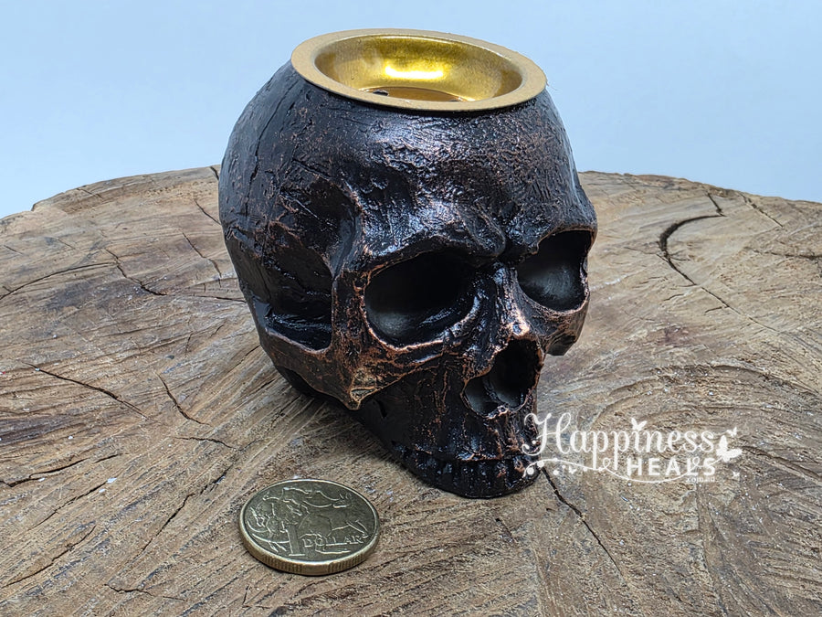 Backflow Fountain - Bronze/Black Skull