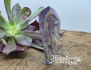 Dragon Tooth Amethyst Elestial Crystal Point Wand