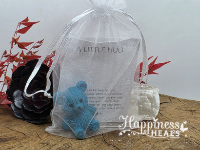 A Little Pocket Hug - Bear - Blue