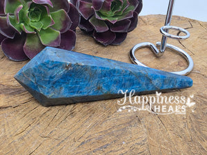 Apatite Vogel – Clarity, Communication & Focused Energy 🔷💎