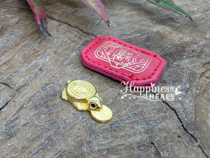 Lucky Coin Turtle with Pouch
