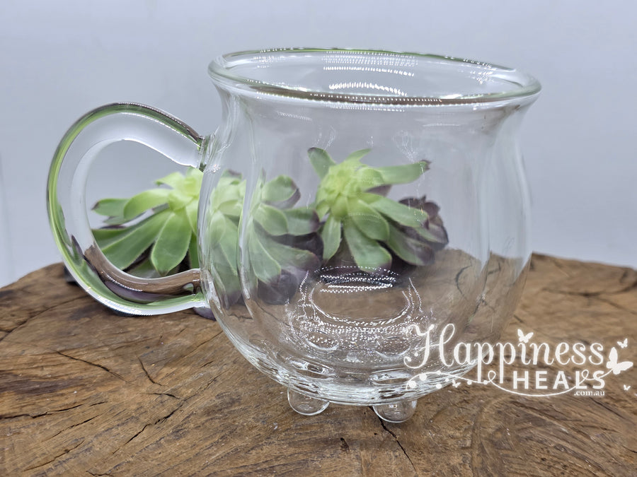 Cauldron Double Walled Glass Mug 🧙‍♀️☕