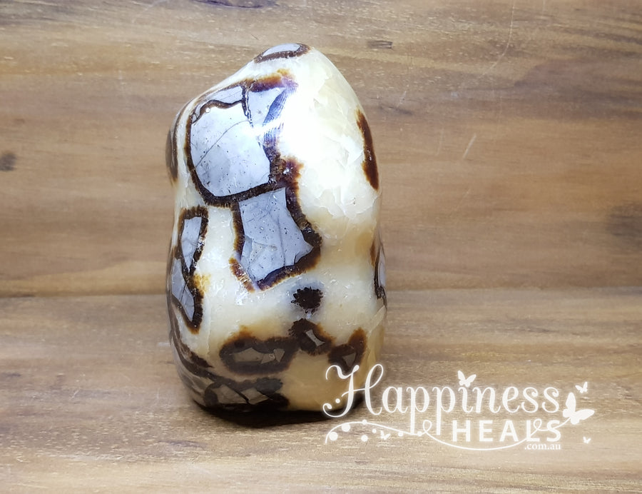 Septarian Freeform