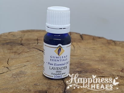 Lavender-Spike