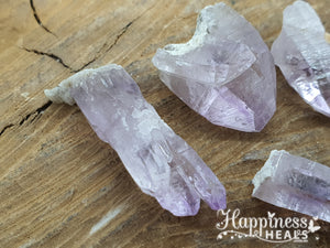 Vera Cruz Amethyst points