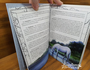 Unicorns Book By Anne Stokes and John Woodward