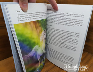 Unicorns Book By Anne Stokes and John Woodward