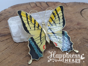 Butterfly Magnets