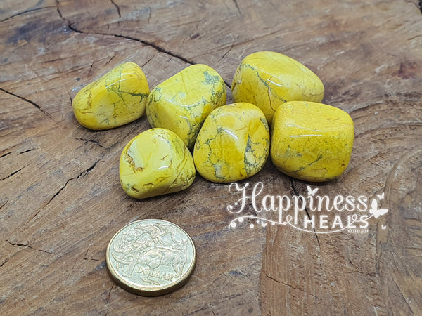 Yellow Howlite (Tumbled) - Happiness Heals