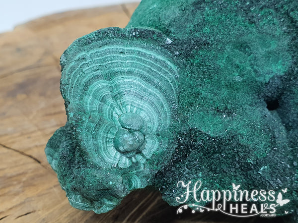 Malachite Specimen Slab