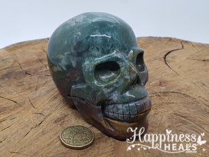 Bloodstone skull